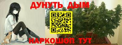 соль ск Будённовск