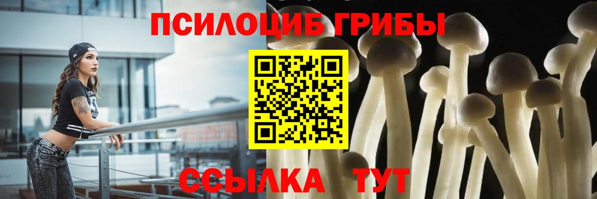 Сатка  Псилоцибиновые грибы MAGIC MUSHROOMS  Псилоцибиновые грибы мицелий  Вход с VPN 